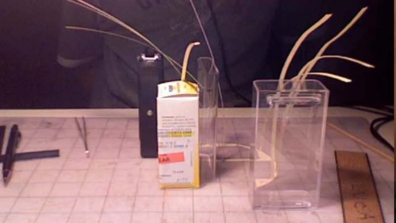 A lucrat 5 ani si a renuntat la liceu ca sa faca ASTA! Ce a realizat un baiat dintr-o cutie de carton