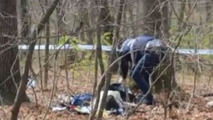 Tânăr de 18 ani, găsit mort în pădure. Ce au descoperit oamenii legii 
