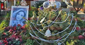 Galerie foto - poza 3