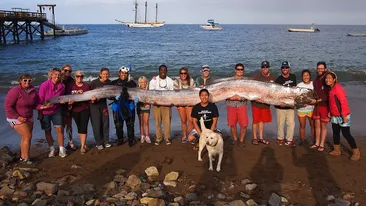 Nu am văzut niciodată asa ceva. Creatura descoperita in apele oceanului a ingrozit sute de oameni. E URIAS