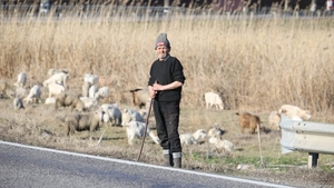 Țăranii din România nu se tem de coronavirus: ”Se stinge cu țuiculiță!”
