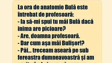 BANC | Profesoara de anatomie îl întreabă pe Bulă: Inima are picioare?