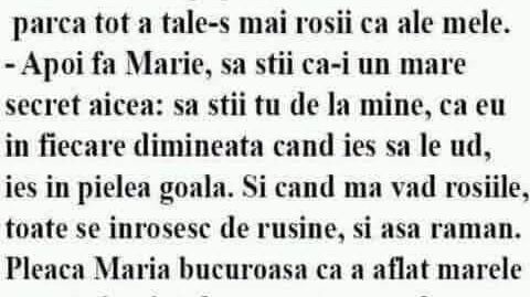 BANC | Ion și Maria erau grădinari. “Măi Ioane, cum faci tu că, la tine, roșiile sunt mai roșii ca ale mele?”