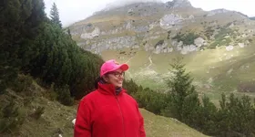 Galerie foto - poza 2