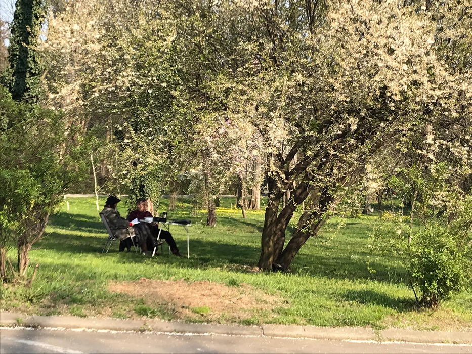 Imagini halucinante. Bucureștenii au ieșit la picnic în Herăstrău: Și-au scos măsuțele la „iarbă verde”!