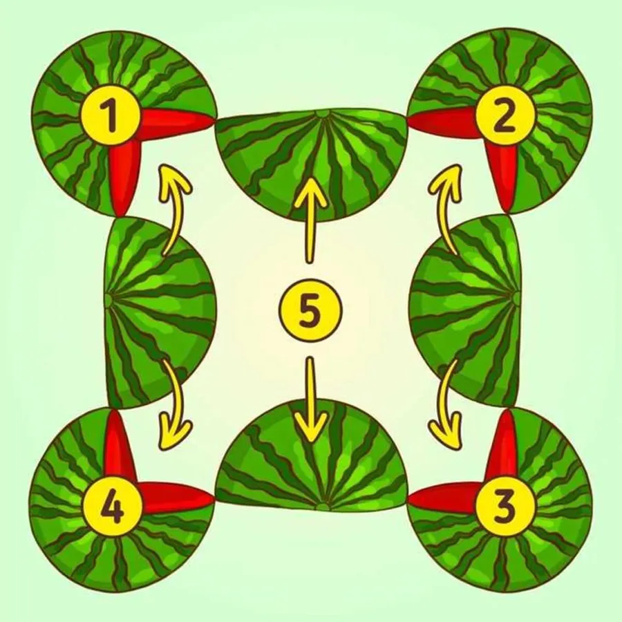 Test de inteligență: Câți pepeni se află în imagine? Sursă foto: jagranjosh.com