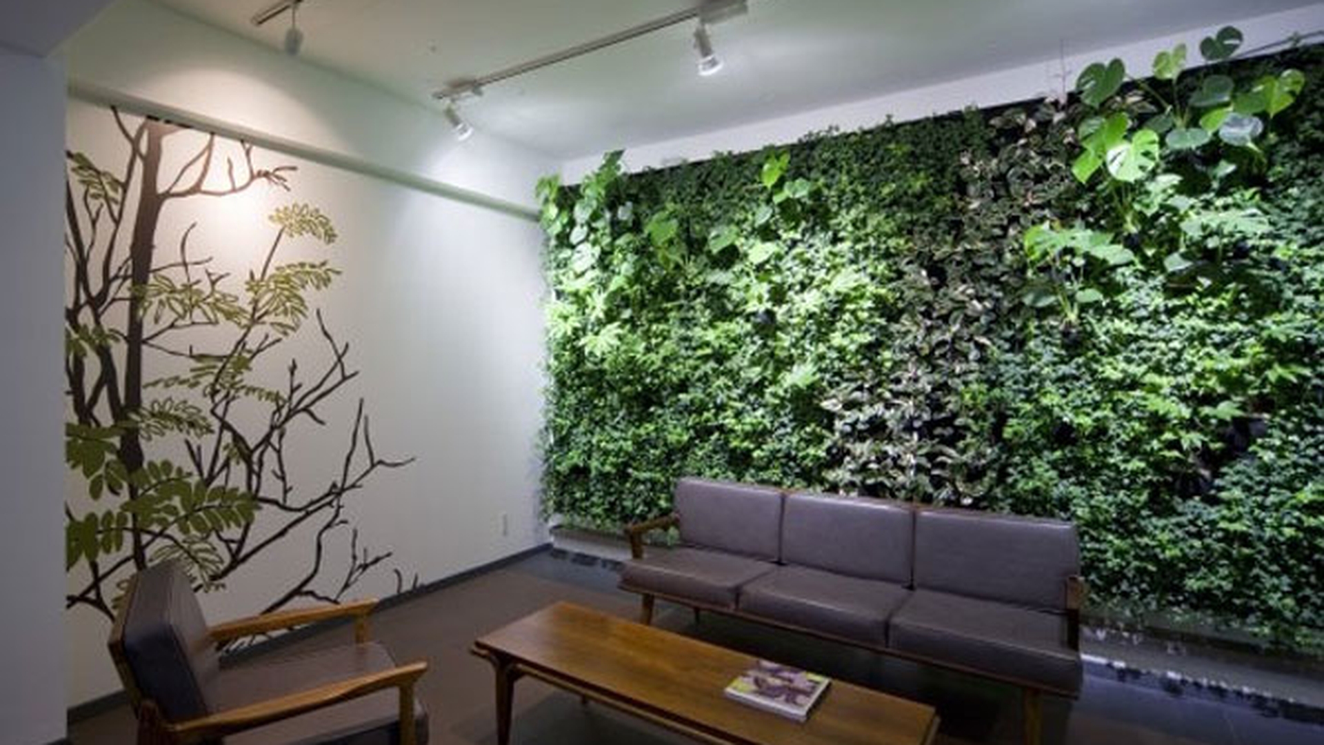 Vezi cum arata peretii din plante!