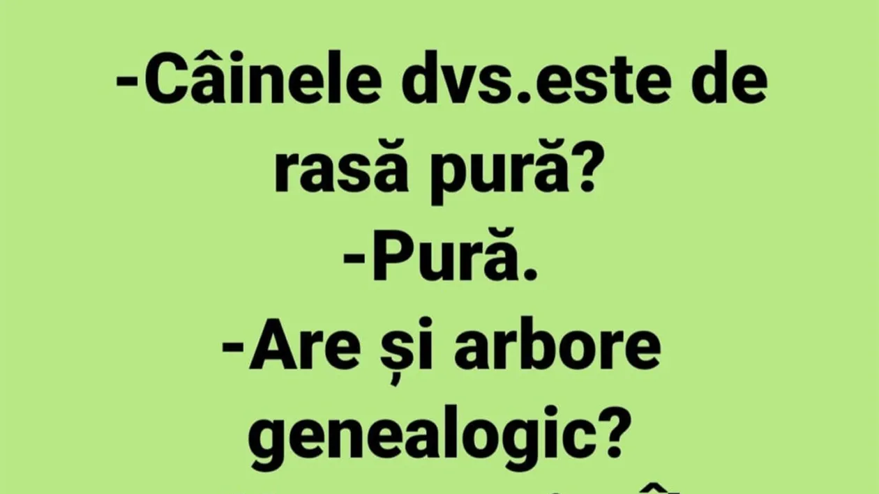 BANCUL ZILEI | Câinele dumneavoastră este de rasă pură?