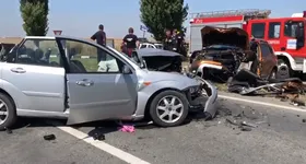 Galerie foto - poza 3