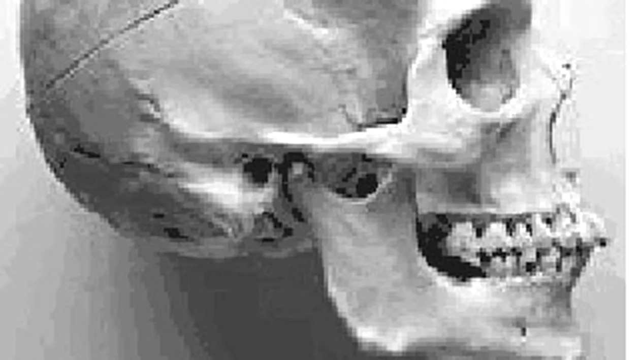 Un schelet uman a fost descoperit in subsolul unei cladiri din Brasov