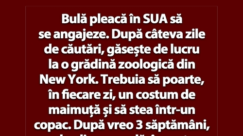 BANC | Bulă pleacă în SUA să se angajeze
