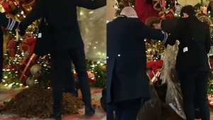 Scene incredibile la hotelul Ritz din Londra! Trei activiști au vandalizat bradul de Crăciun din hol