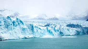 Creaturile care trăiesc și 11.000 de ani. Sunt foarte bizare și locuiesc în Antarctica