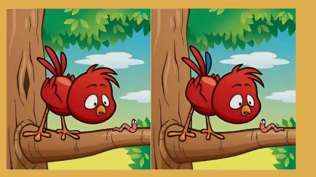 Test de logică | Găsiți cele 5 diferențe dintre aceste două imagini. Geniile o fac în maximum 21 de secunde