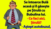 BANC | Se întoarce Bulă acasă și îl găsește pe Ștrulă cu Bubulina