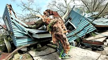 S-a sacrificat ca sa isi apere bebelusul