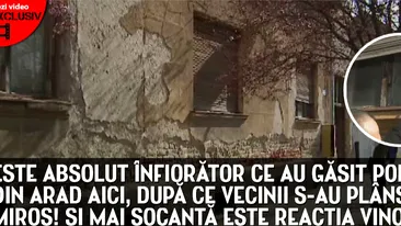 Cadavrul mumificat al unei femei, gasit intr-o locuinta din Arad. Fiul ei ar fi ascuns decesul pentru a incasa pensia