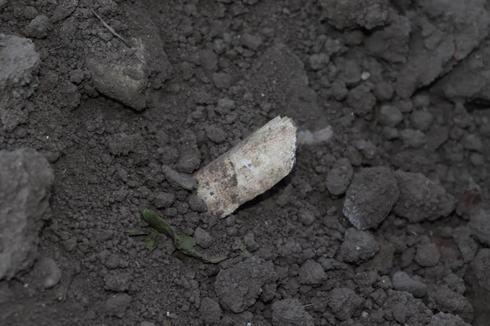 Oseminte, descoperite în timpul renovării unei școli din Bacău! Constructorii au ignorat descoperirea și nu au sistat lucrarea