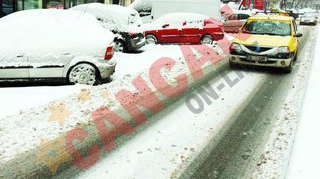 Ninge toata saptamana