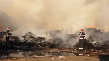Pericol de explozie la Chitila! Incendiu masiv lângă o fostă groapă de gunoi