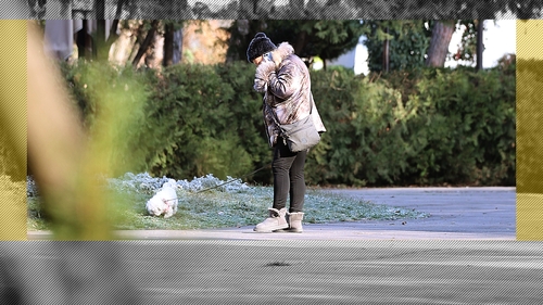 Evacuată din imobilul de lux, “Regina vinurilor” și-a găsit un aliat: “Bubico” îi păzește non-stop spatele!