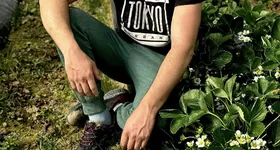 Galerie foto - poza 2