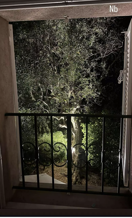 Imagini rare cu casa Andreei Esca de la Nisa! Locuința mega luxoasă are o piscină wow