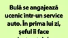 BANC | Bulă se angajează ucenic într-un service auto