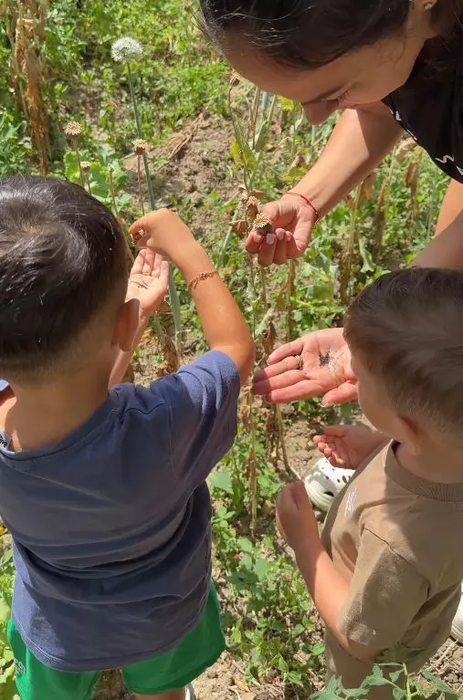 Cum arată casa din Maramureș în care a copilărit Vlăduța Lupău! Locuința bunicilor era locul preferat al cântăreței: „Nu am vândut-o și nici nu o voi vinde”