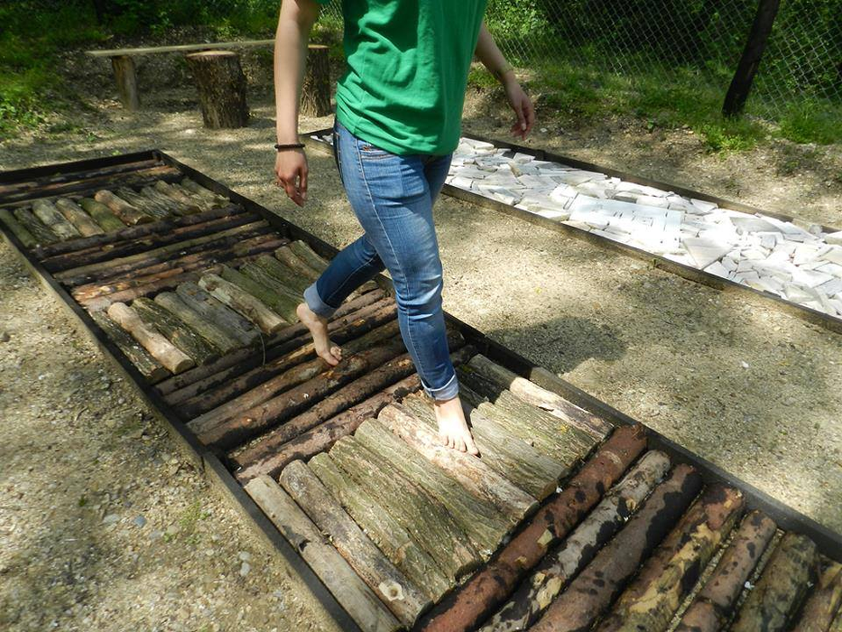 Aleea terapeutică, o variantă gratuită de petrecere a timpului în natură