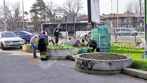 Vrei ajutor social? Fii gata sa muncesti in folosul comunitatii