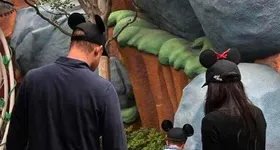 Galerie foto - poza 1