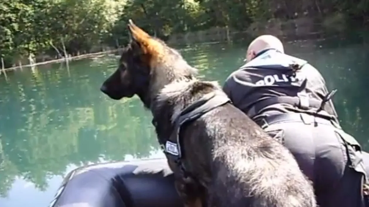 O misiune care-i va pune cu botul pe labe: politistii romani se duc sa antreneze caini la Chisinau!