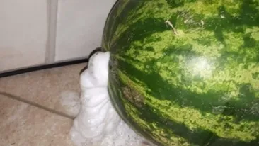 A cumpărat un pepene, în Piatra Neamţ. A ajuns acasă, i-a făcut „dop”, dar… surpriză! Au început să iasă spume. Când a aflat de ce, a rămas mut…