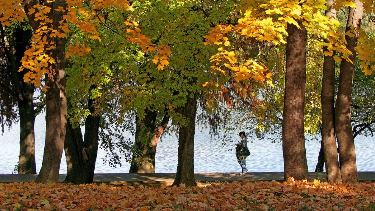 Luna noiembrie aduce valori termice peste “normalul” perioadei. Prognoza meteo oferită de ANM ne alinta cu temperaturi de septembrie