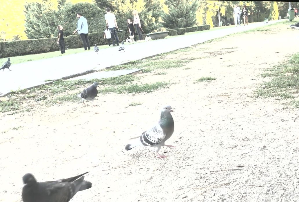 Cătălin Măruță, la plimbare prin parc cu familia, plus fotograf personal