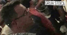 Galerie foto - poza 1