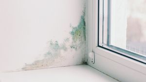 Cum elimini igrasia din pereții locuinței.  Cei 3 pași care funcționează tot timpul