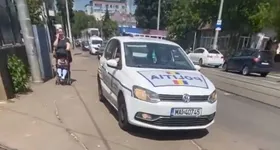 Galerie foto - poza 3