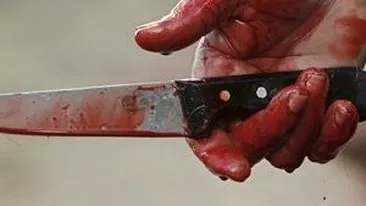 Avocatul Poporului a declanșat o anchetă în cazul copilului cu mama  medic și tatăl tenor, vizând respectarea dreptului copilului la  protecție