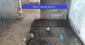 Galerie foto - poza 1