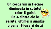 BANCUL ZILEI | Cocoșul și cele 5 găini