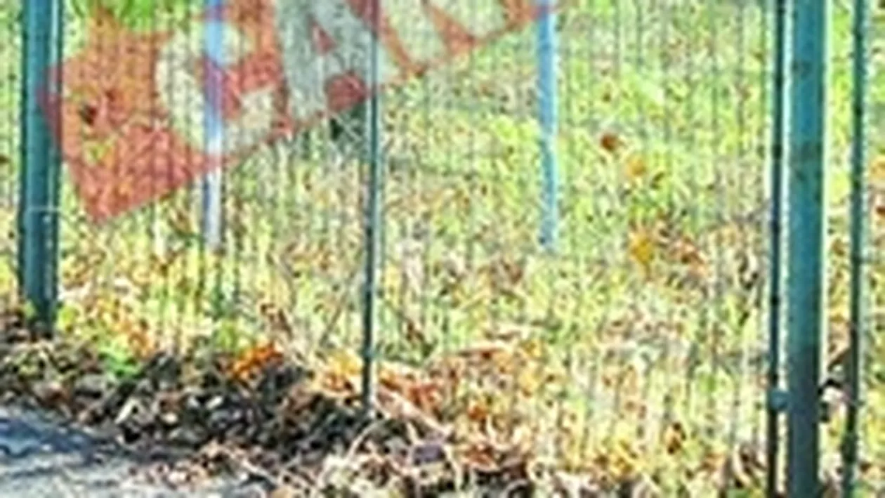 Dictionar de asigurari (IV)