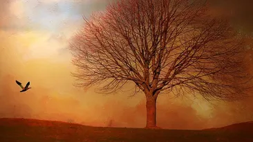 După aerul polar, un ciclon tropical a intrat în țară! Vremea se anunță deosebit de caldă pentru această perioadă