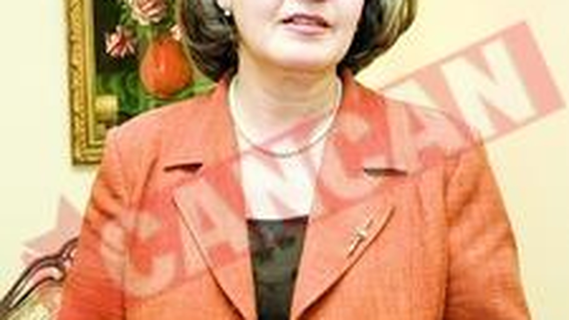 Mona Musca, urmarita penal