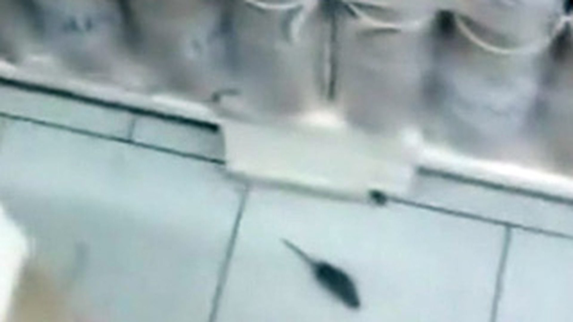 Video absolut revoltator! Soarecii umbla printre baxurile de suc dintr-un supermarket renumit - Pare incredibil, dar e adevarat!