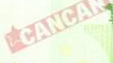 Primaria te premiaza pentru casatorie