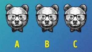 Test de logică | Care urs este diferit de ceilalți doi?