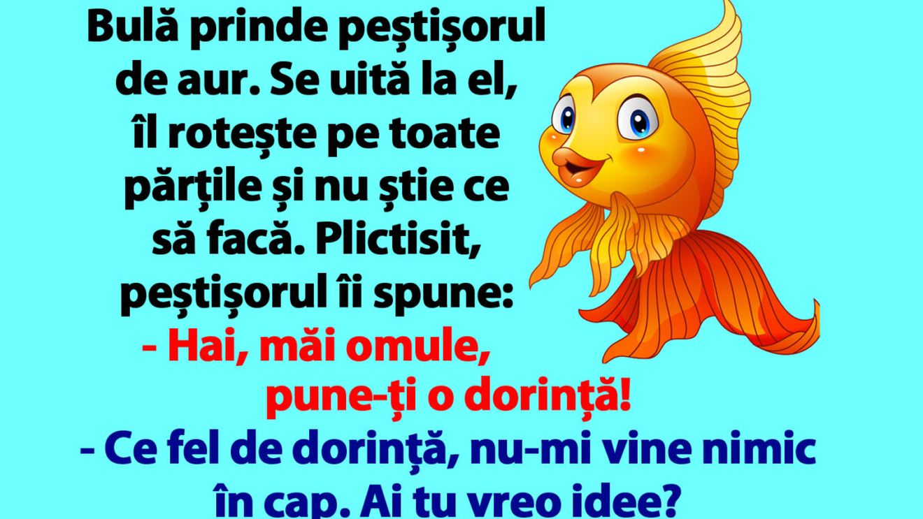 BANC | Bulă prinde peștișorul de aur: "Hai, măi omule, pune-ți o dorință!"