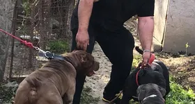 Galerie foto - poza 4